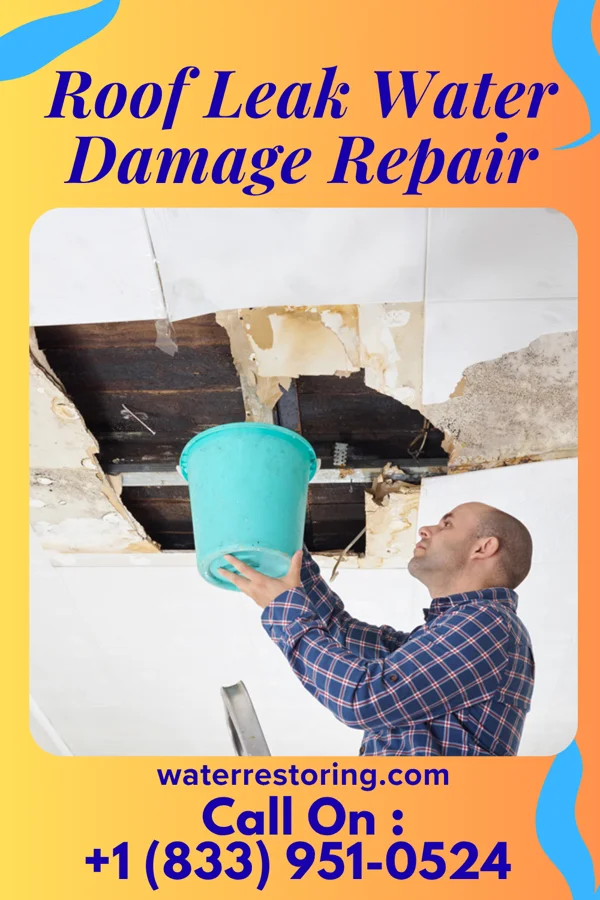 Roof Leak Water Damage Repair in Vamo, FL